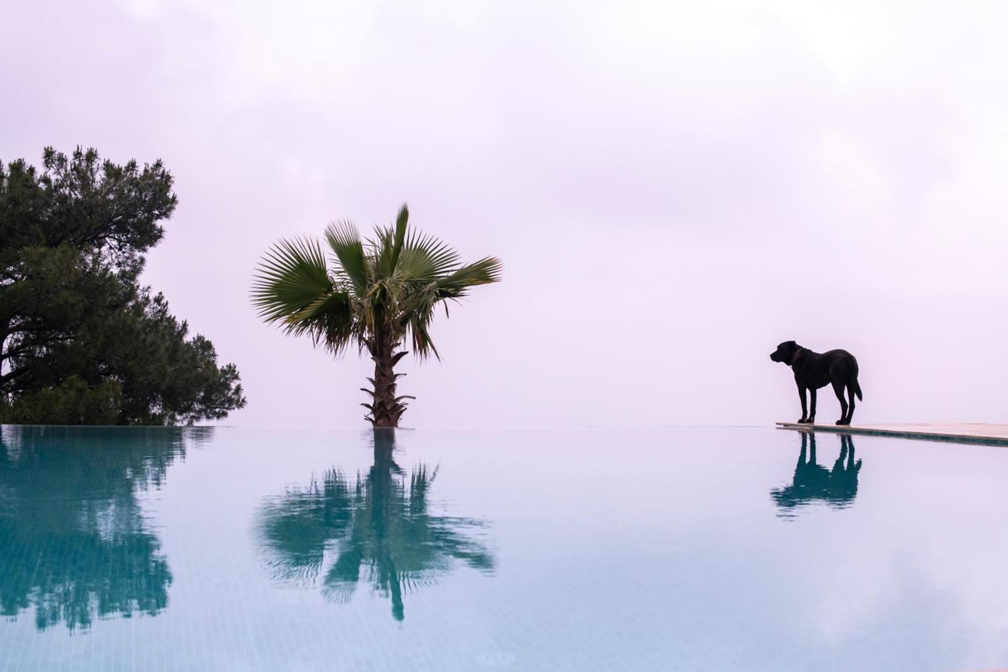ホテル Ephesus Retreat イズミル エクステリア 写真