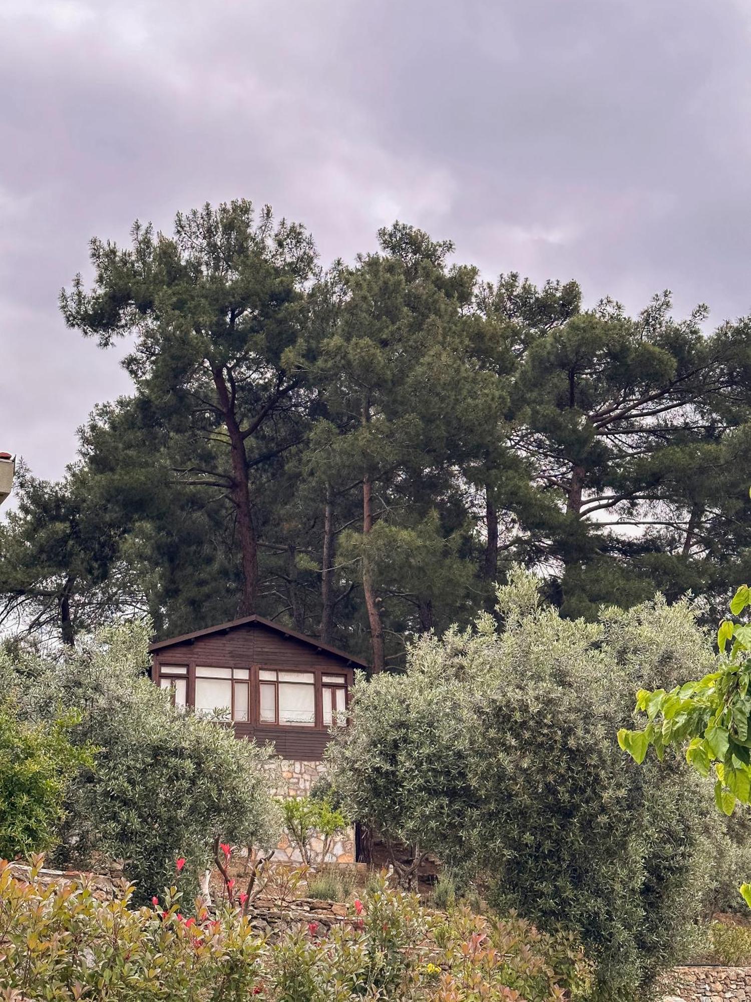 ホテル Ephesus Retreat イズミル エクステリア 写真